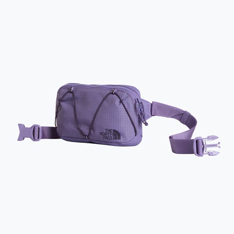 Bauchtasche The North Face Terra Lumbar 1 l grounded plum/endless 2