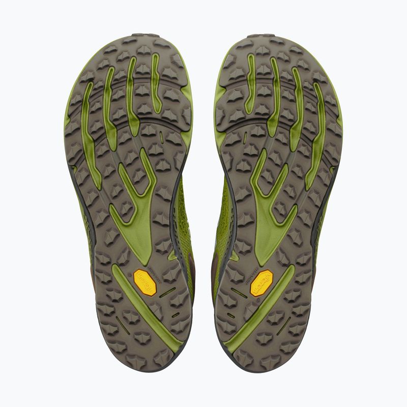 Herren-Laufschuhe Altra Timp 6 GTX Iguana/Silver 4
