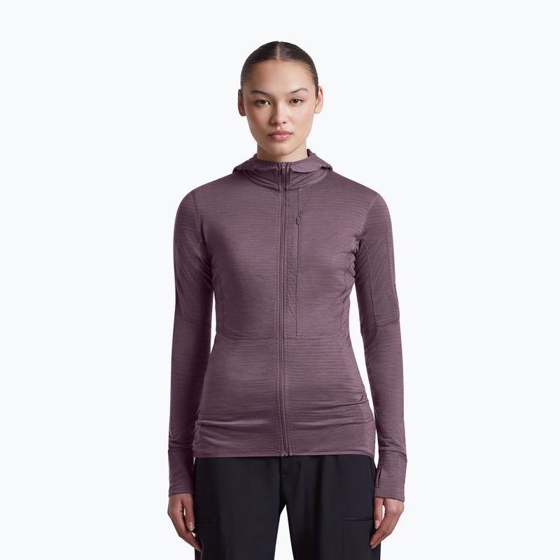 Damen-Trekkingsweatshirt Icebreaker Merino 200 Realfleece Descender Half Zip Hoodie grey plum