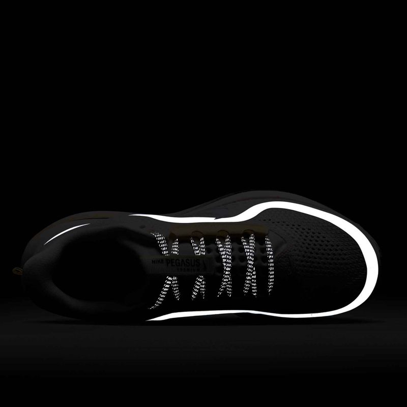 Damen-Laufschuhe Nike Pegasus Premium sail/alabaster/anthracite/white 10