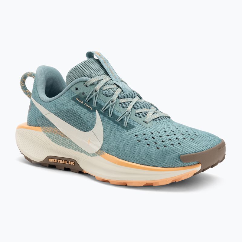 Nike Pegasus Trail 5 Damen Laufschuhe Cannon / soft pearl / mink braun