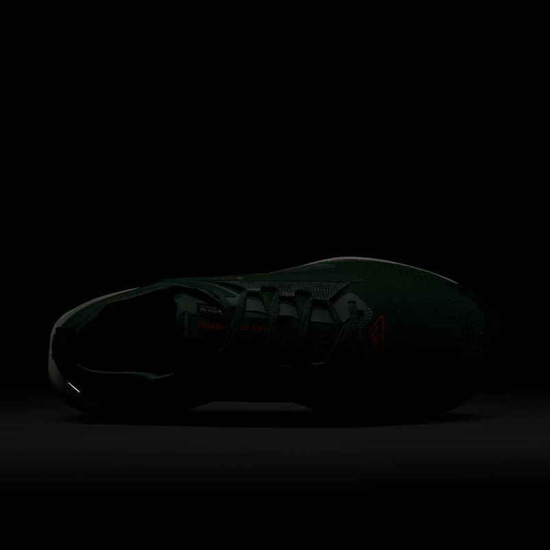 Herren Laufschuhe Nike Pegasus Trail 5 GORE-TEX tanne/hellrot/lehmgrün 10
