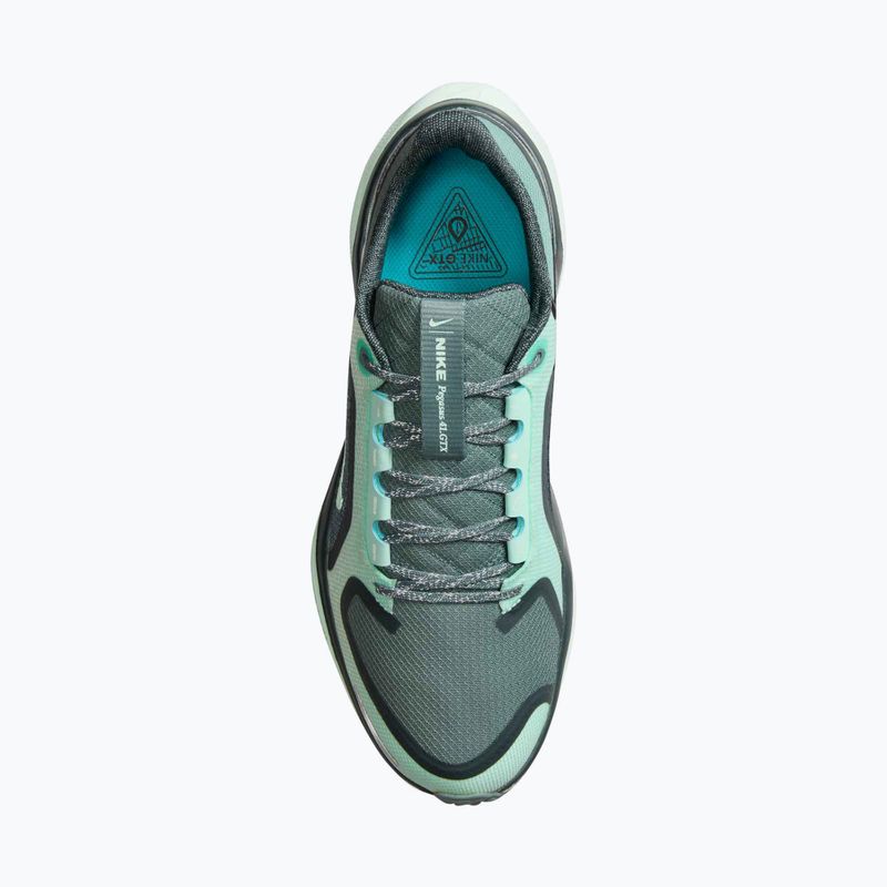 Damen-Laufschuhe Nike Pegasus 41 GORE-TEX cannon/barely green/bleached turq 6