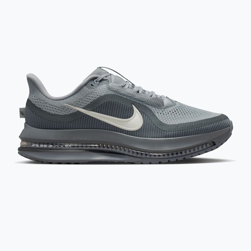 Herren-Laufschuhe Nike Pegasus Premium wolf grey/cool grey/anthracite/sail