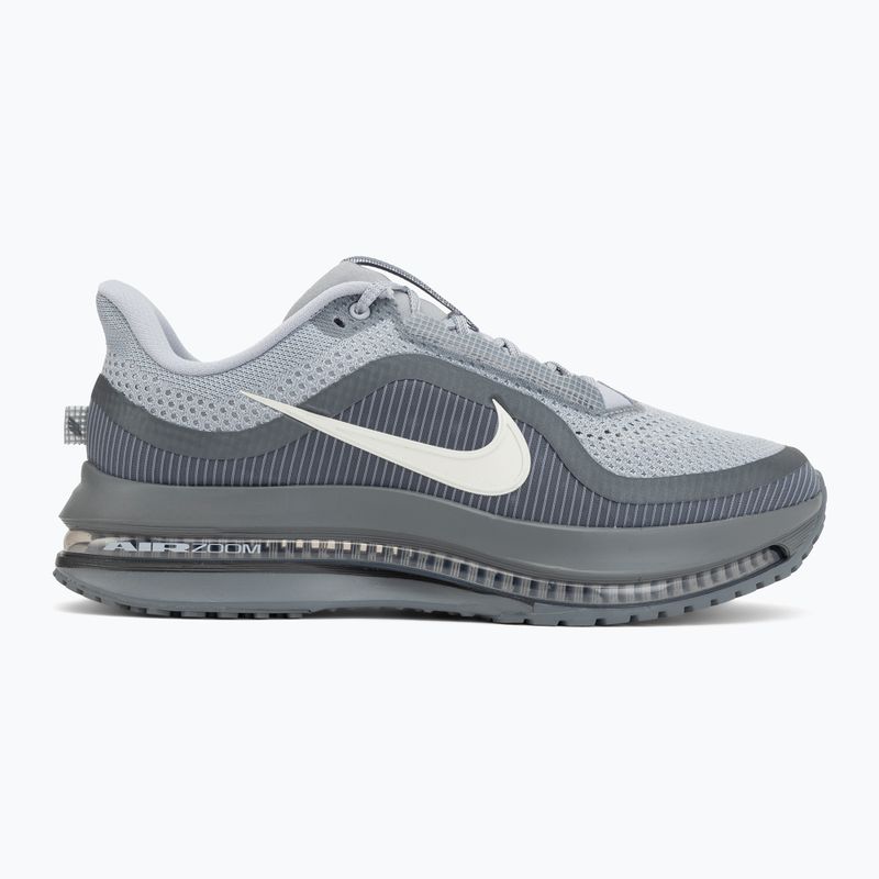 Herren-Laufschuhe Nike Pegasus Premium wolf grey/cool grey/anthracite/sail 2