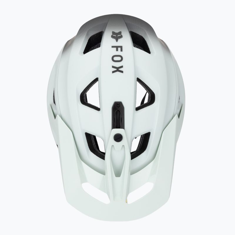 Fahrradhelm Fox Racing Speedframe Pro Backfade frost 7