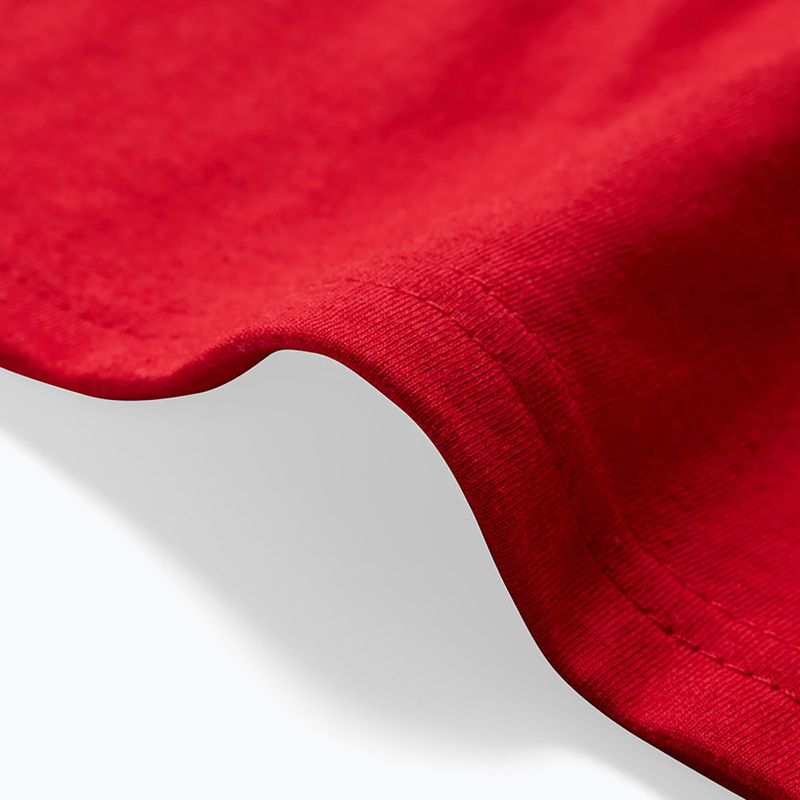 Kinder T-Shirt Fox Racing Absolute Jr timber red 6