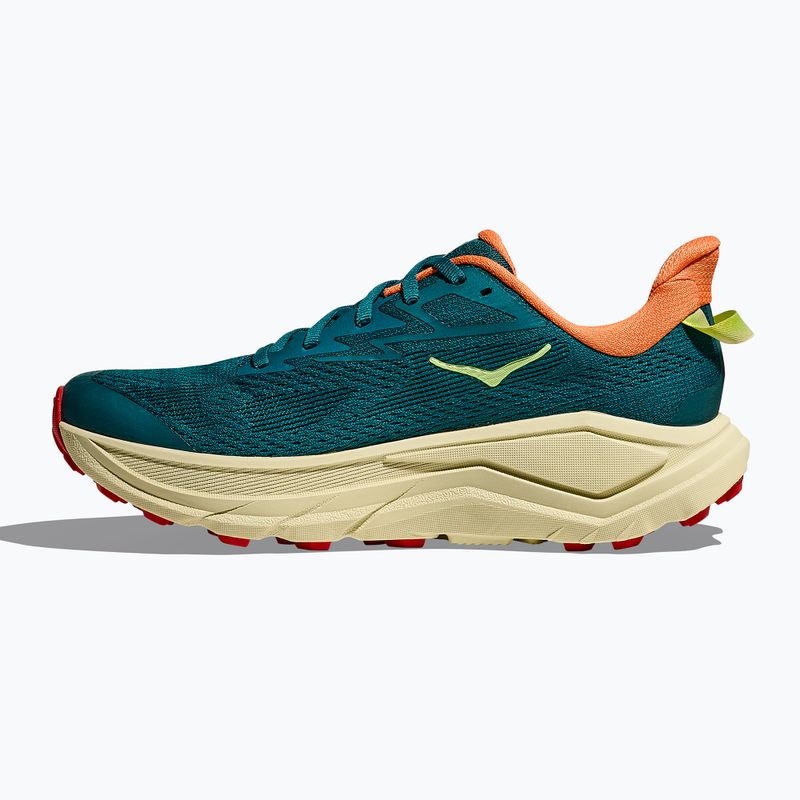 Damen Laufschuhe HOKA Challenger 8 tidal wave/pampas grass 4