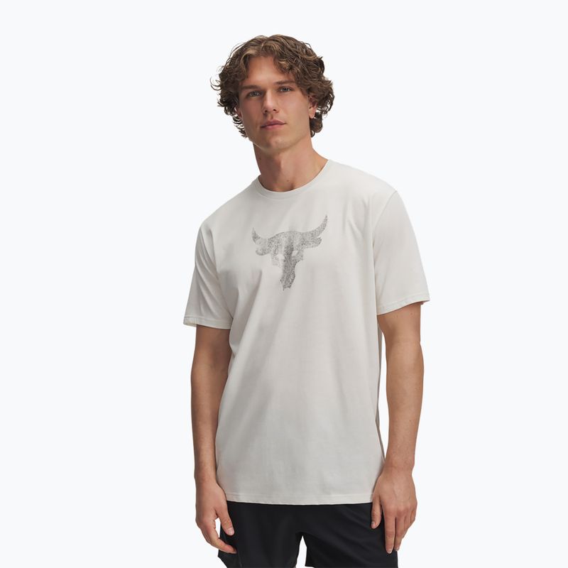 Herren Trainingsshirt Under Armour Project Rock Payoff Graphic stone/schwarz