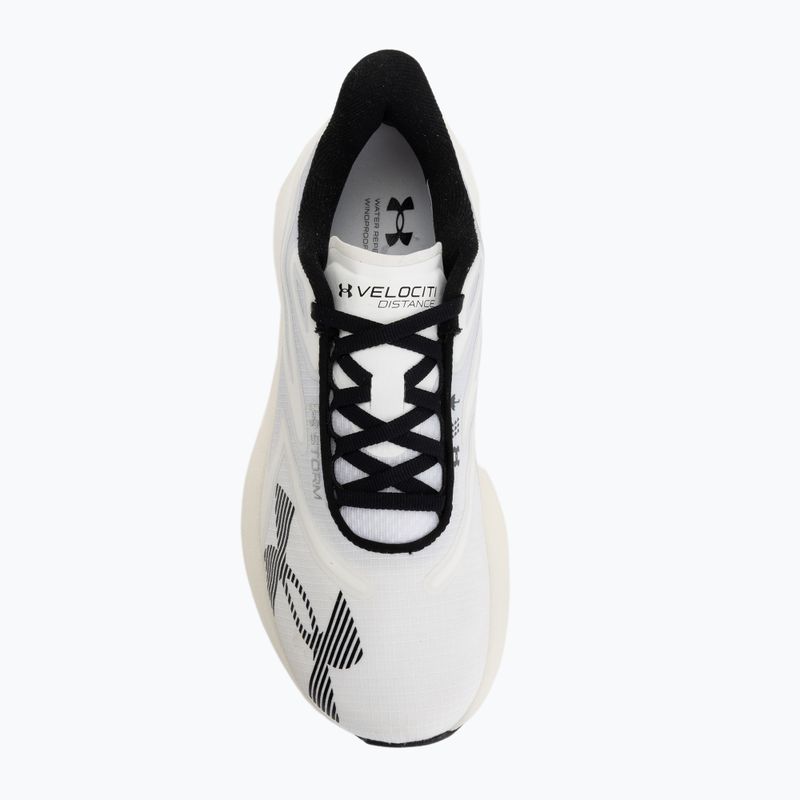 Laufschuhe Under Armour Velociti Distance Storm white/white/black 5