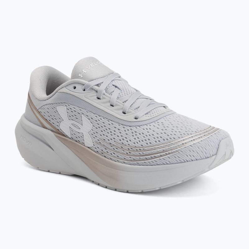 Laufschuhe für Damen Under Armour Velociti Sport halo gray/metallic buff/white