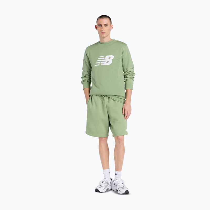 Shirt Herren New Balance Schuhe Graphic V Flying oregano 2