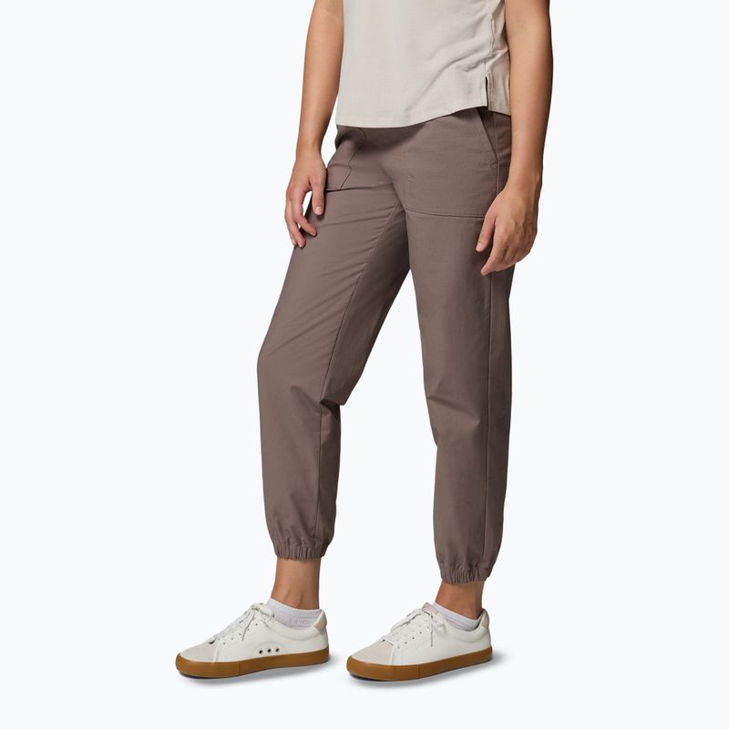 Herren Trekkinghose Columbia ROC Ripstop Jogger iron 4