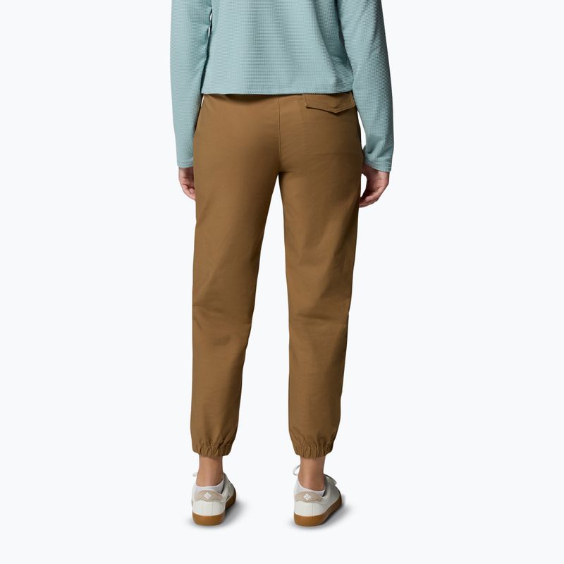 Herren-Trekkinghose Columbia ROC Ripstop Jogger Delta 3