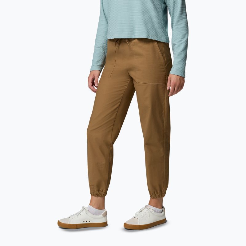 Herren-Trekkinghose Columbia ROC Ripstop Jogger Delta 4