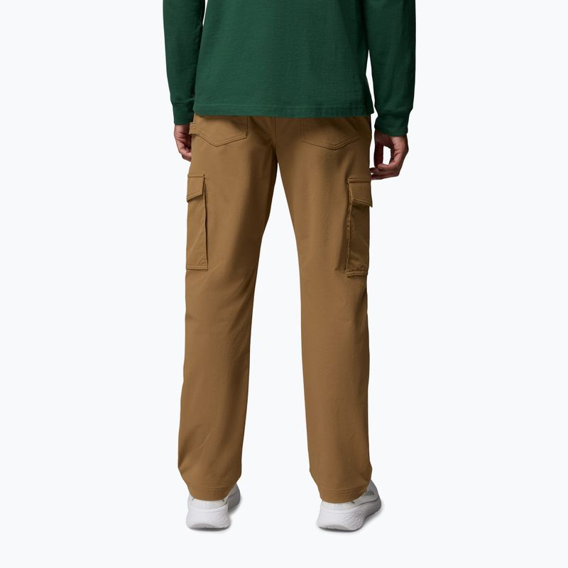 Herren-Trekkinghose Columbia ROC Tech Cargo delta 3