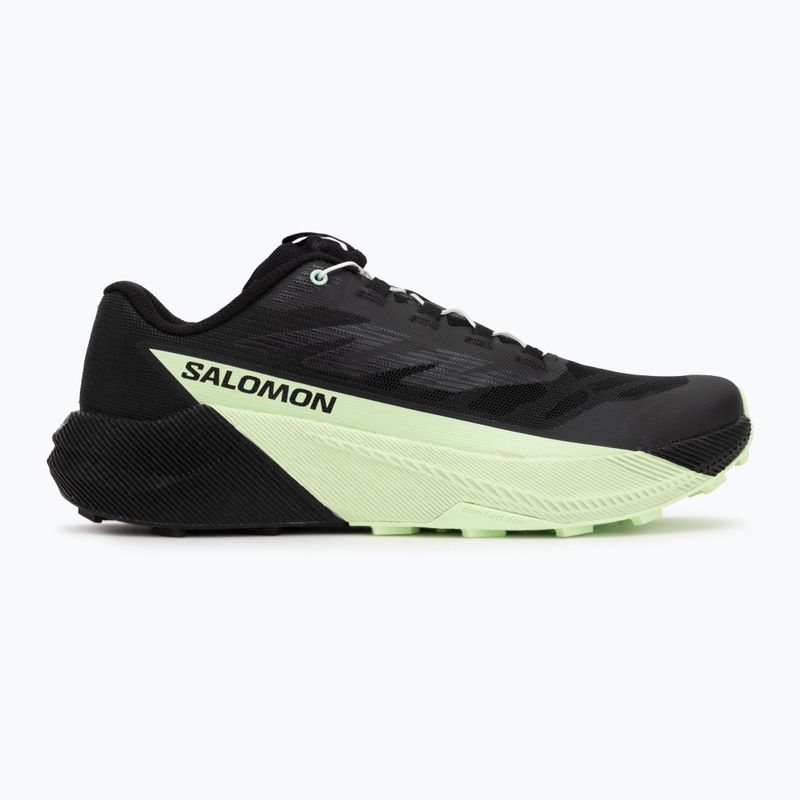 Herren-Laufschuhe Salomon Pulsar black/black/patina green 2