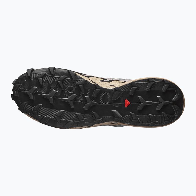 Herren-Laufschuhe Salomon Speedcross 6 GTX gull/white pepper/schwarz 5