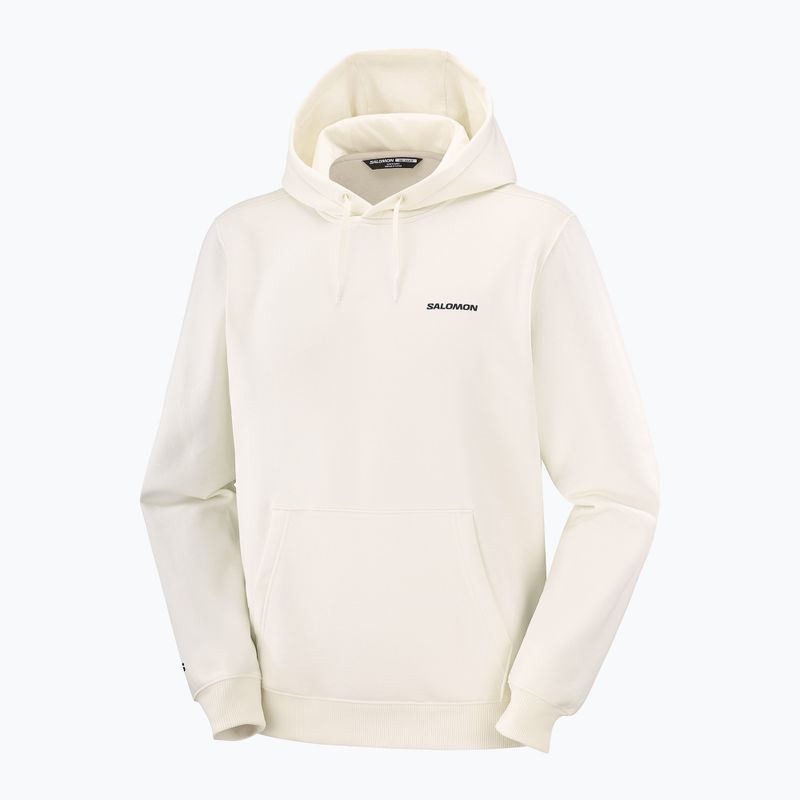 Herrenpullover Salomon Chest Logo Hoodie whisper white 5