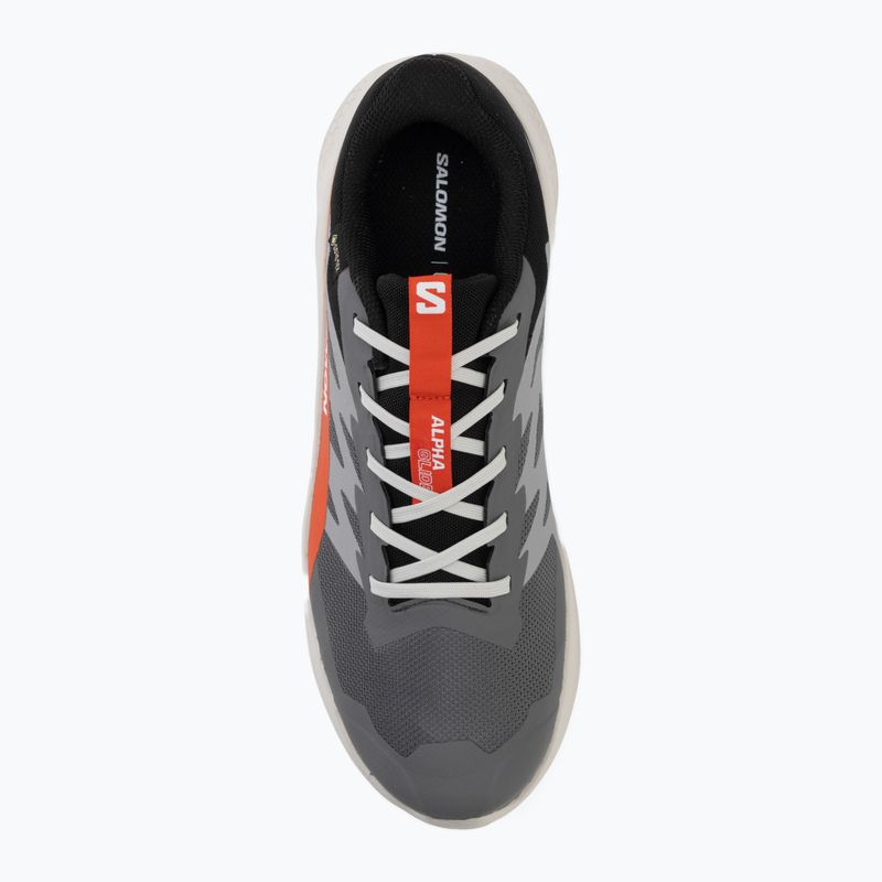 Herren-Laufschuhe Salomon Alphaglide GTX castlerock/lunar rock 5