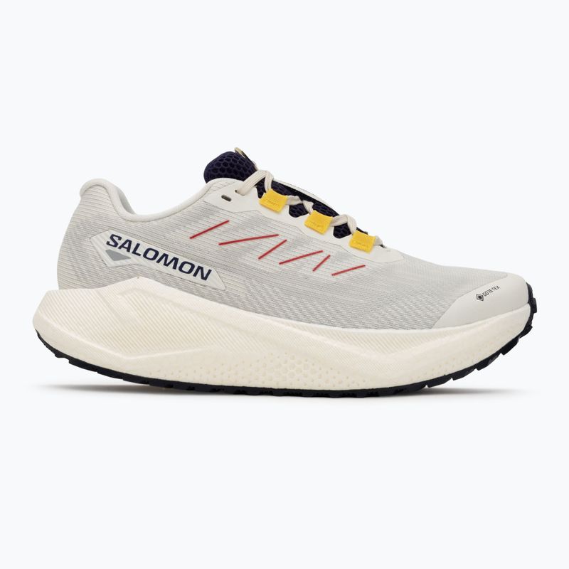 Damen-Laufschuhe Salomon Aero Blaze 3 Gravel GTX vanilla ice/astral aura/lemon 2