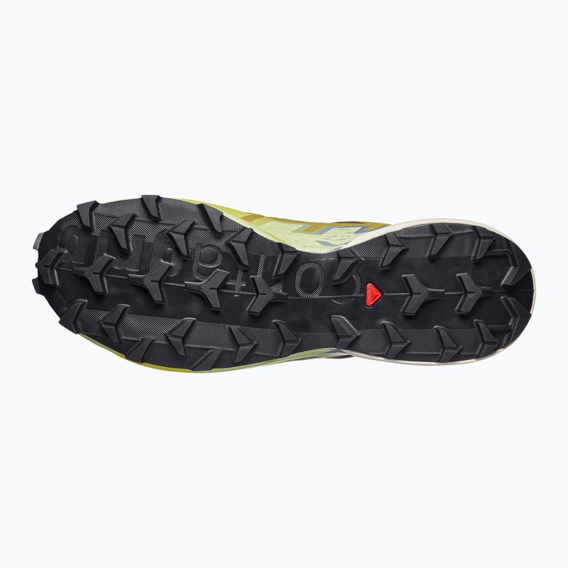 Herren-Laufschuhe Salomon Speedcross 6 GTX grape leaf/aspargus green 5