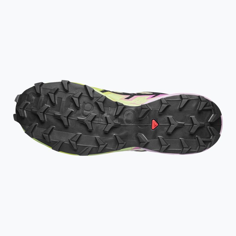 Laufschuhe für Damen Salomon Speedcross 6 GTX bog/dawn pink 5