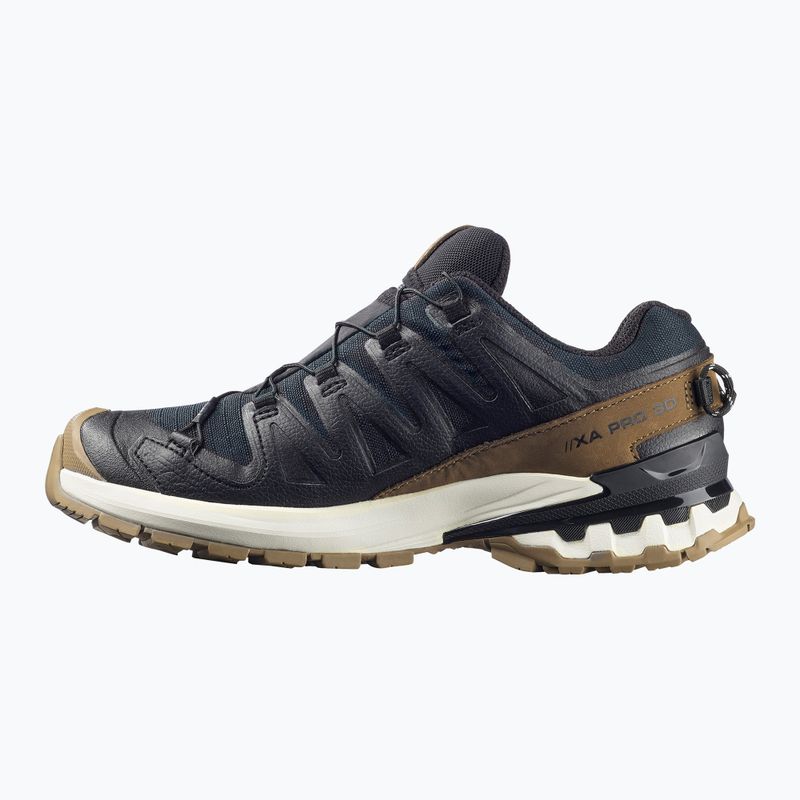 Damen-Laufschuhe Salomon XA PRO 3D V9 GTX Lifelong schwarz/coyote braun/vanille eis 3