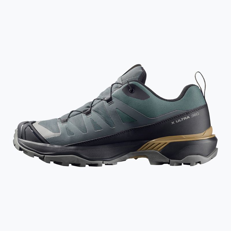 Herren-Trekkingschuhe Salomon X Ultra 360 GTX urban chic/black 2