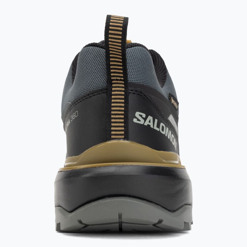 Trekkingschuhe Herren Salomon X Ultra 360 GTX urban chic/black 6