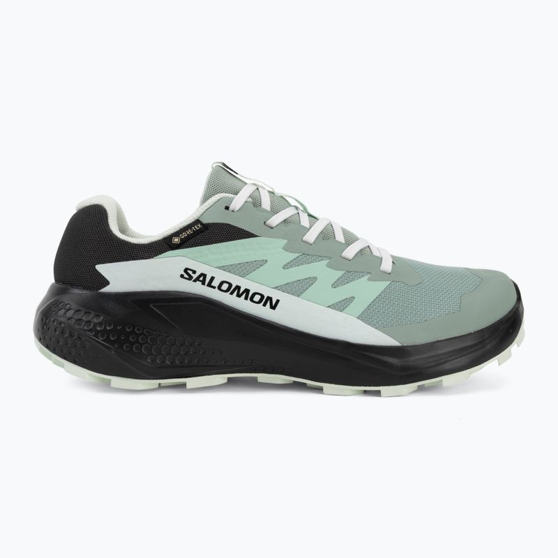 Laufschuhe für Damen Salomon Alphaglide GTX green milieu/asphalt 2