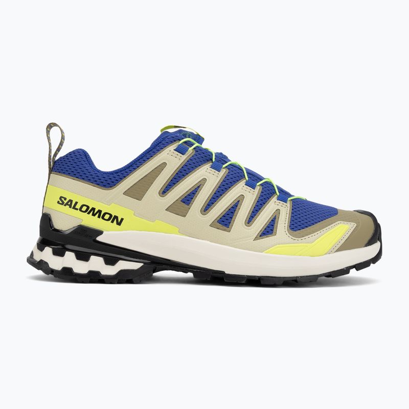 Herren-Laufschuhe Salomon XA Pro 3D V9 bluing/bog/acid lime 2