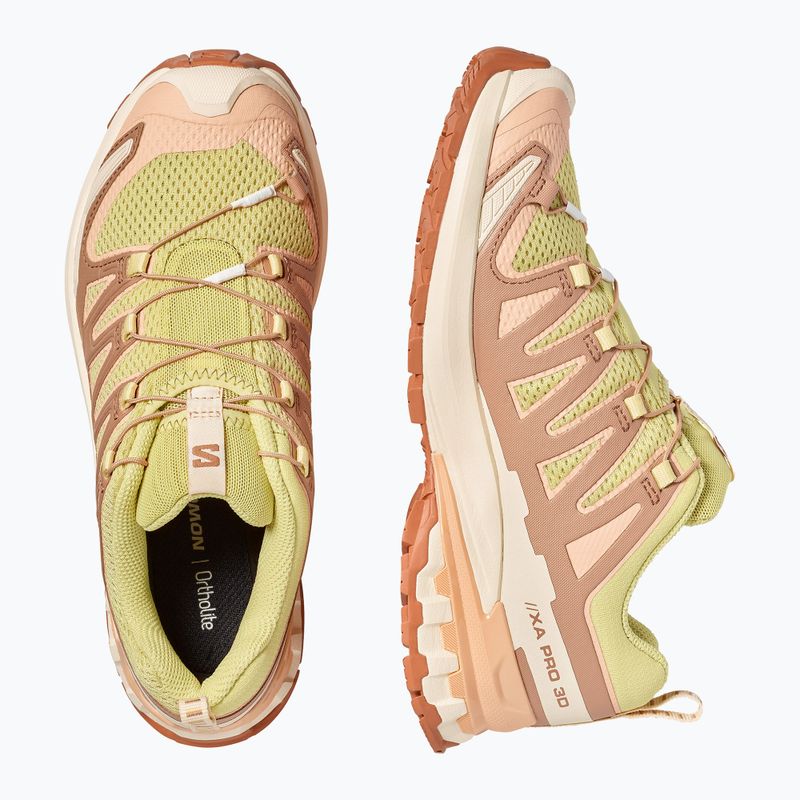 Damen-Laufschuhe Salomon XA Pro 3D V9 endive/burro/almond cream 4