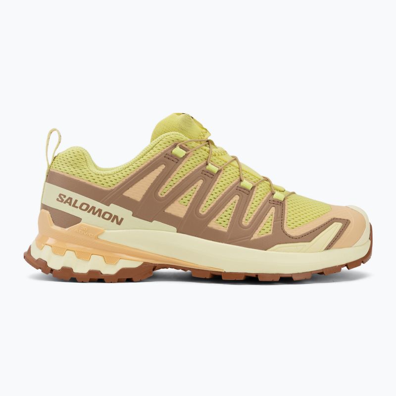 Damen-Laufschuhe Salomon XA Pro 3D V9 endive/burro/almond cream 2
