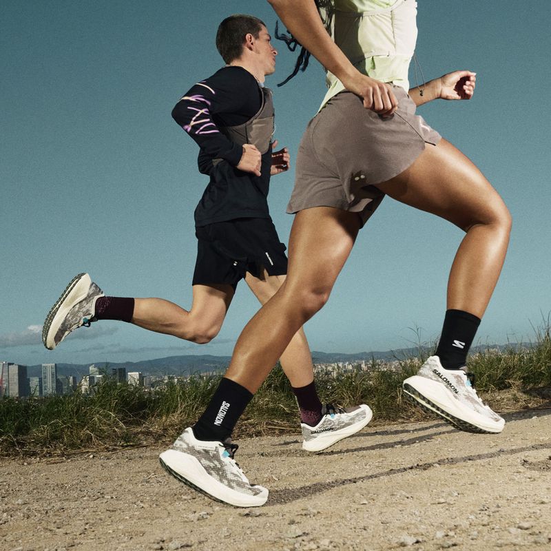 Herren-Laufschuhe Salomon Aero Glide 4 GRVL vanilla ice/black/iron 8