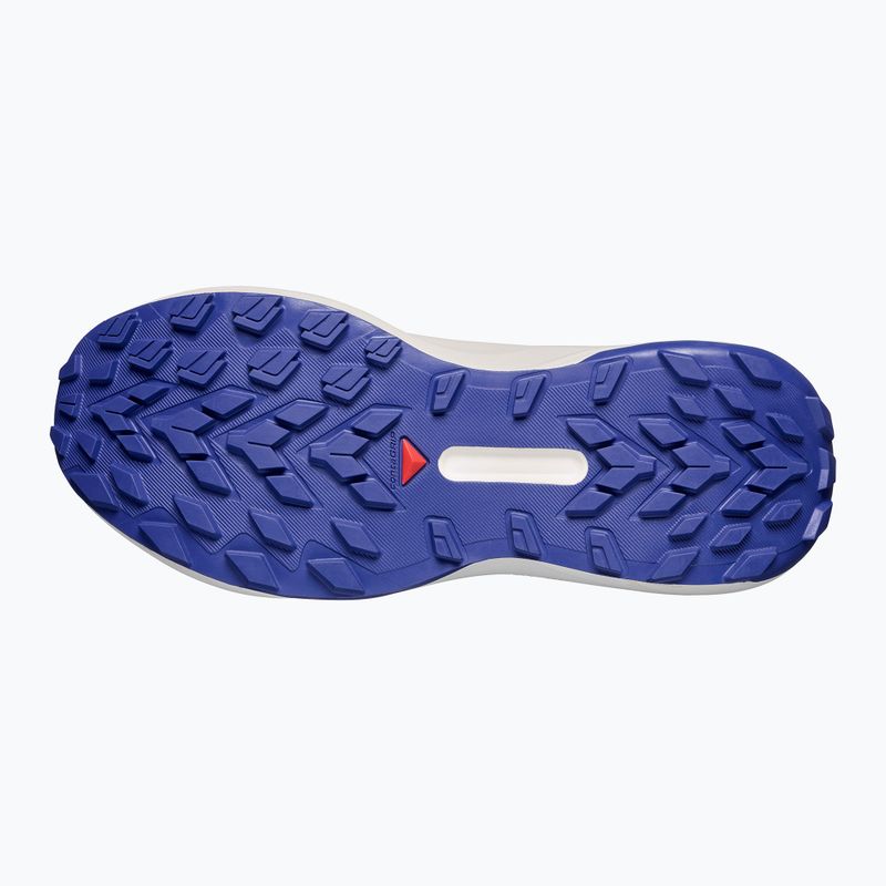 Damen-Laufschuhe Salomon Genesis brunnera blue/persian jewel/deep blue 5