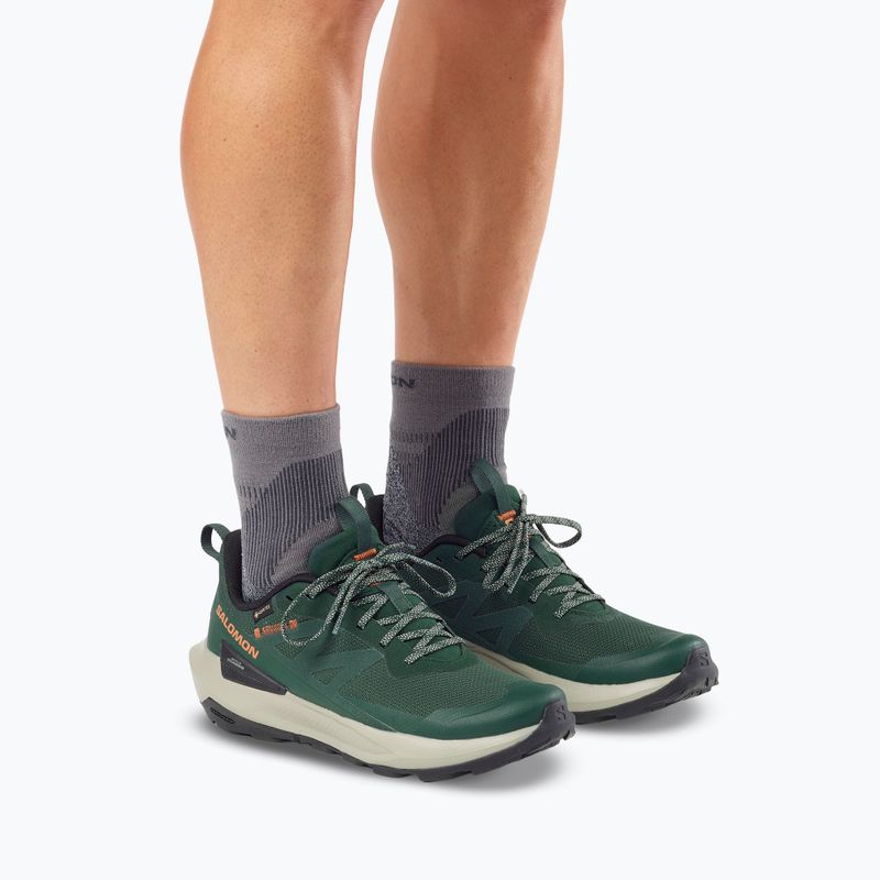 Herren Wanderschuhe Salomon Elixir Activ GTX scarab/green gable 14