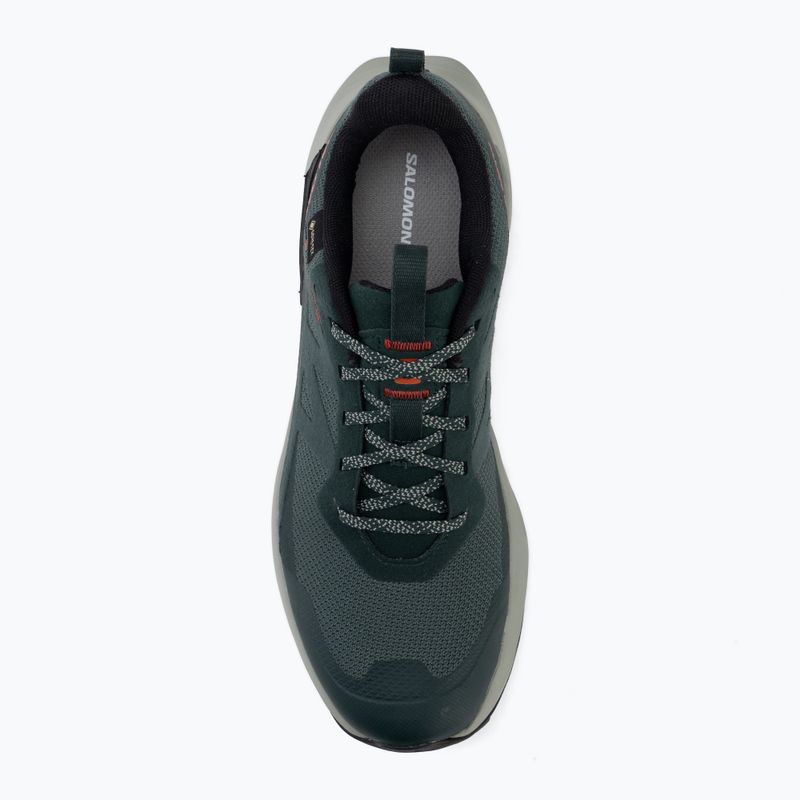 Herren Wanderschuhe Salomon Elixir Activ GTX scarab/green gable 5