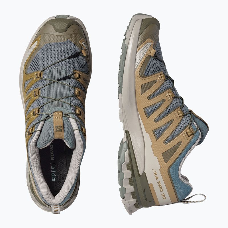 Herren-Laufschuhe Salomon XA Pro 3D V9 sedona sage/plantation/paloma 5