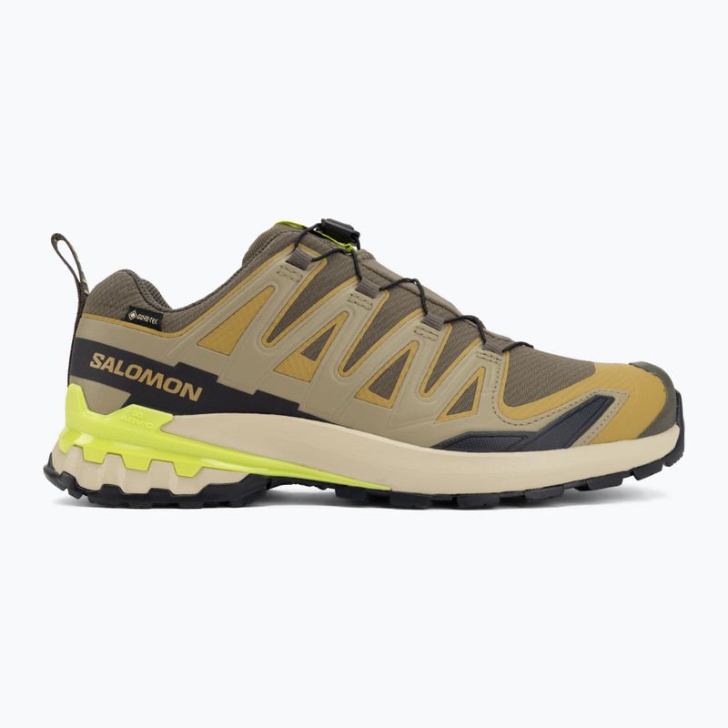 Herren-Laufschuhe Salomon XA Pro 3D V9 GTX grape leaf/aloe 2