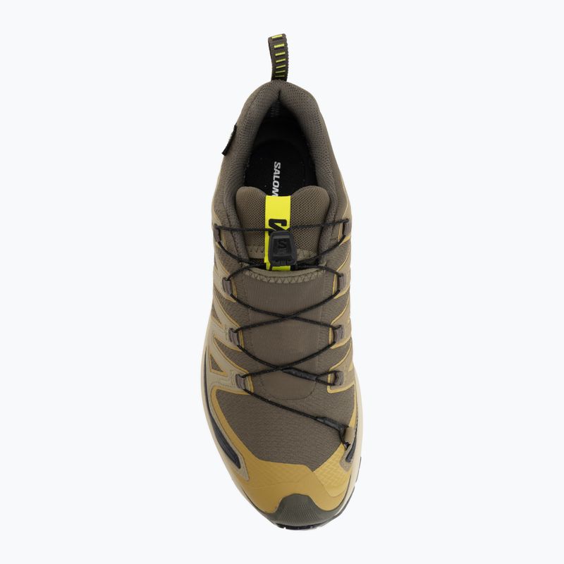 Herren-Laufschuhe Salomon XA Pro 3D V9 GTX grape leaf/aloe 5