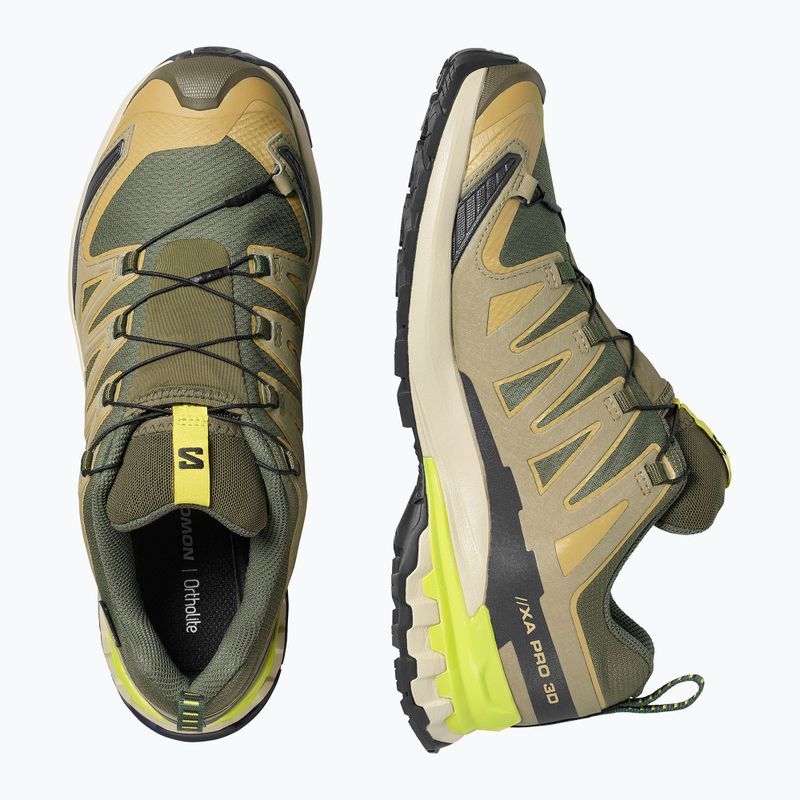 Herren-Laufschuhe Salomon XA Pro 3D V9 GTX grape leaf/aloe 3