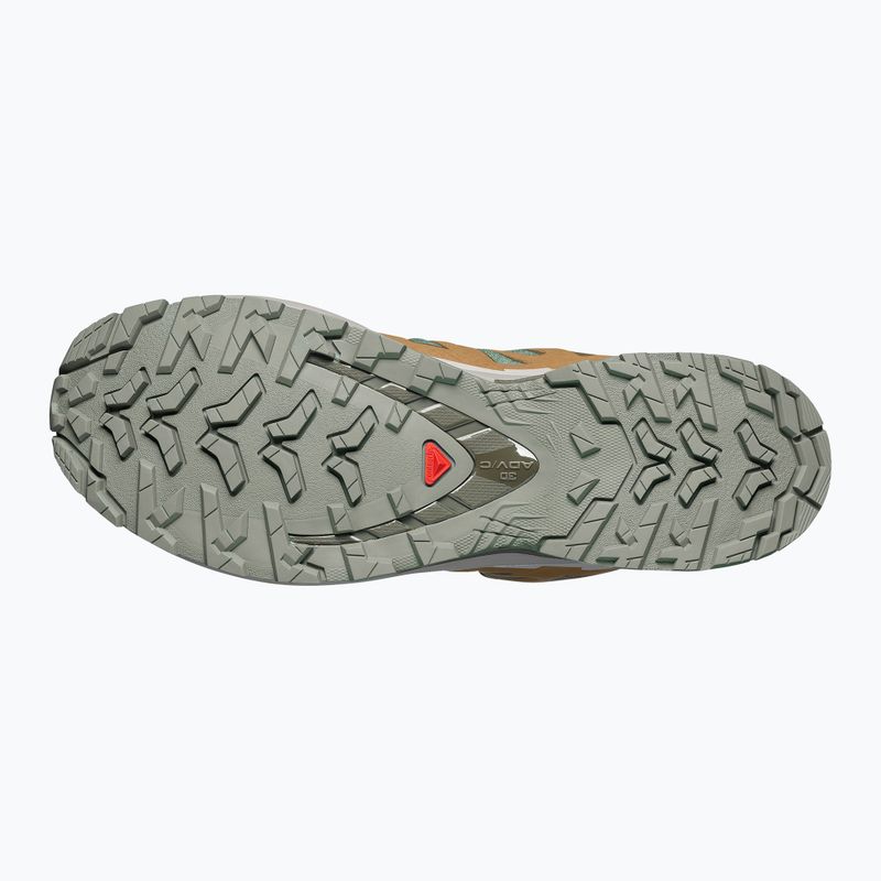 Herren-Laufschuhe Salomon XA Pro 3D V9 GTX sedona sage/brilliant olive 4