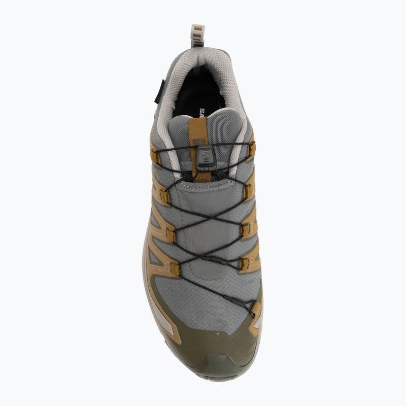 Herren-Laufschuhe Salomon XA Pro 3D V9 GTX sedona sage/brilliant olive 5