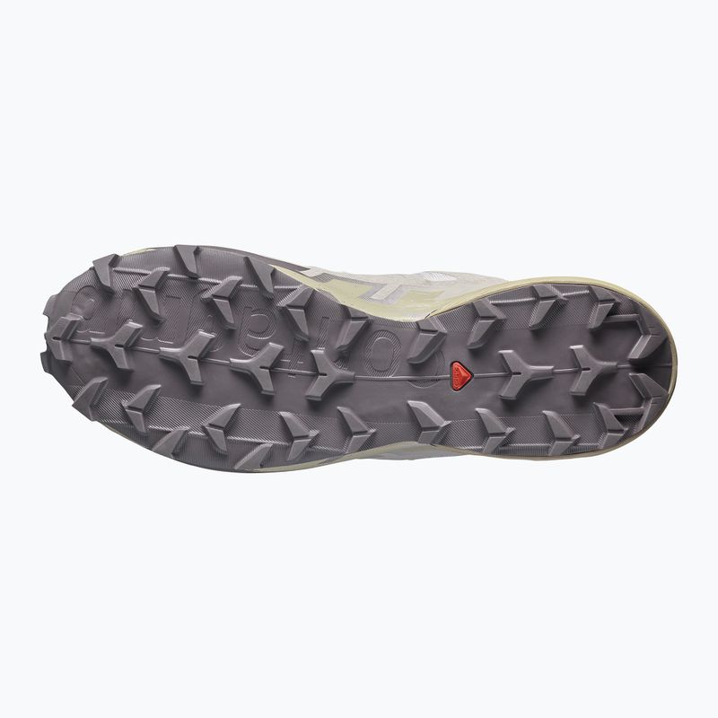 Herren-Laufschuhe Salomon Speedcross 6 silver cloud/paloma 5