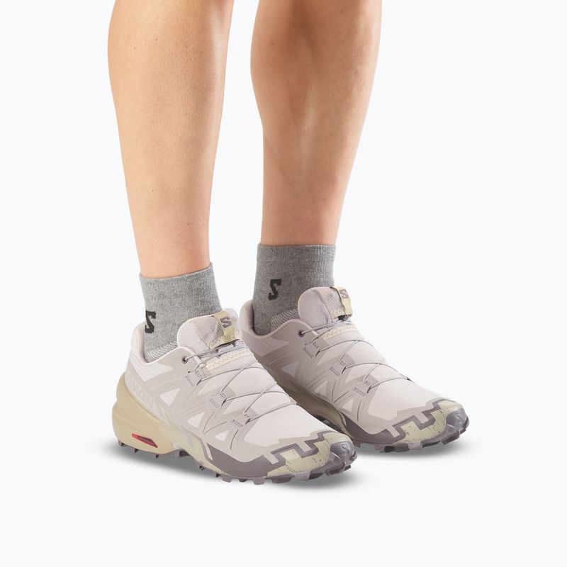 Herren-Laufschuhe Salomon Speedcross 6 silver cloud/paloma 6