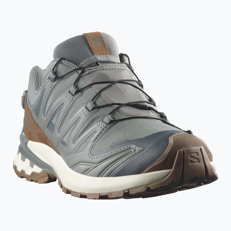 Herren-Laufschuhe Salomon XA Pro 3D V9 GTX Lifelong sedona sage/coyote brown 2