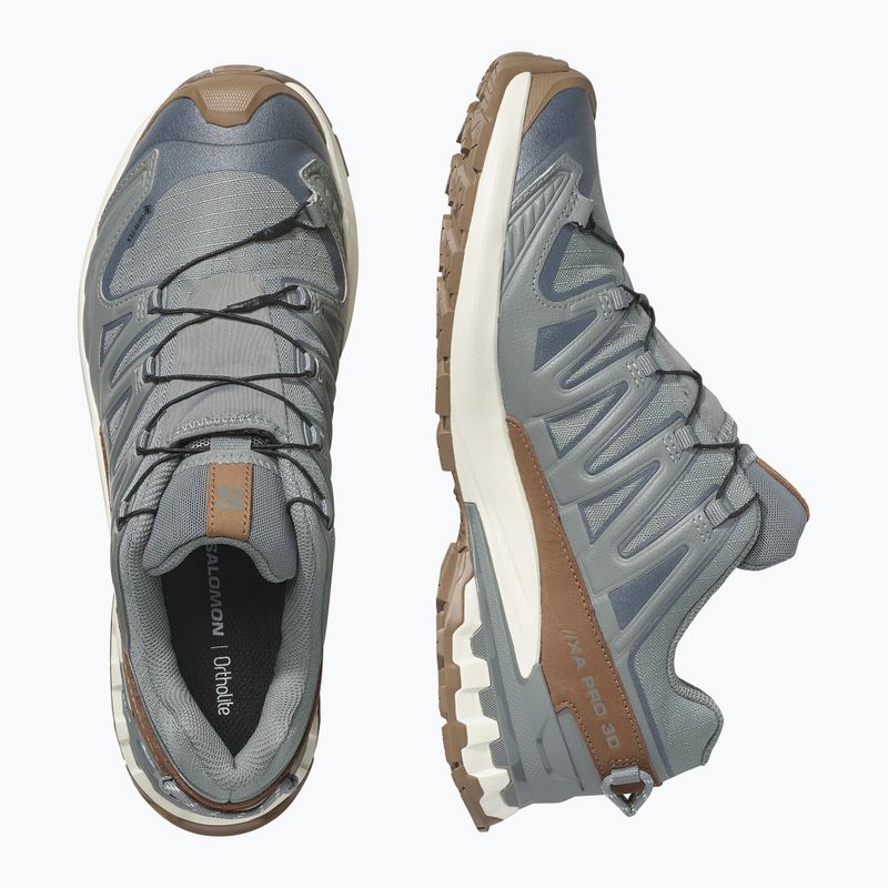 Herren-Laufschuhe Salomon XA Pro 3D V9 GTX Lifelong sedona sage/coyote brown 3