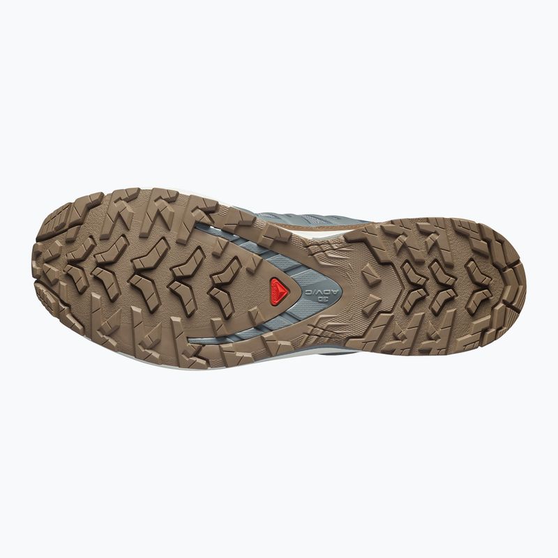 Herren-Laufschuhe Salomon XA Pro 3D V9 GTX Lifelong sedona sage/coyote brown 4