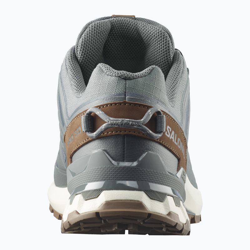 Herren-Laufschuhe Salomon XA Pro 3D V9 GTX Lifelong sedona sage/coyote brown 5